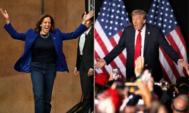 <p>‘In due course, the outcome of this election will be settled, because it has to be’ </p>