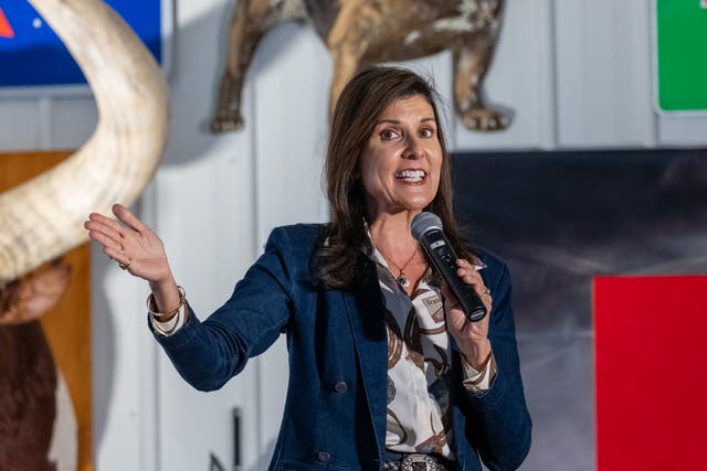 <p>Nikki Haley introduces Republican senate candidate, Dave McCormick at a campaign rally on October 30 2024, in Pennsburg, Pennsylvania. She has not yet campaigned for former president Donald Trump </p>