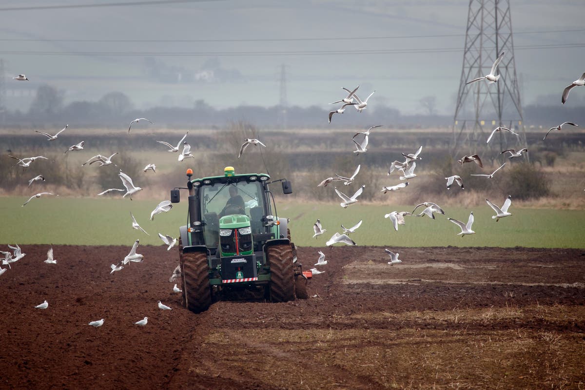 Impact of changes to farming inheritance tax key questions answered