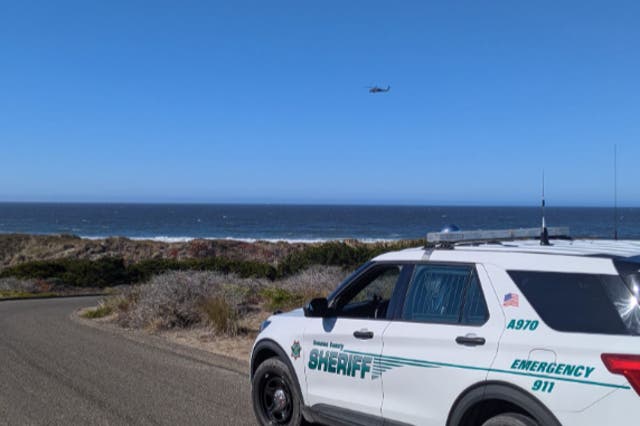 <p>An 11-year-old was found alive off of South Salmon Creek beach near Bodega Bay on Sunday morning, said officials</p>