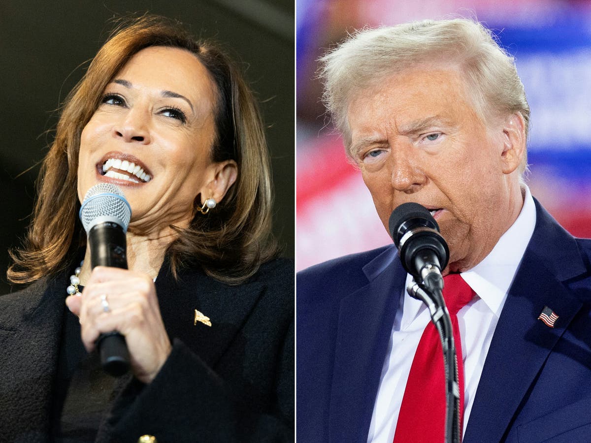 Dixville Notch declares first election results as Trump and Harris host rallies: Live