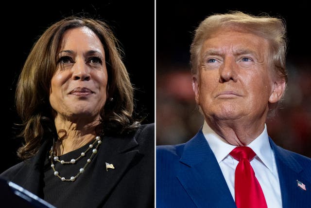 <p>Polls show Harris and Trump still neck-and-neck as Americans go out to vote on Election Day </p>