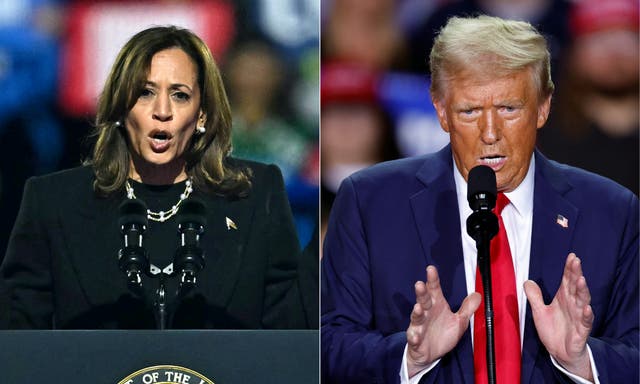 <p>Kamala Harris and Donald Trump are vying for the White House this Election Day </p>