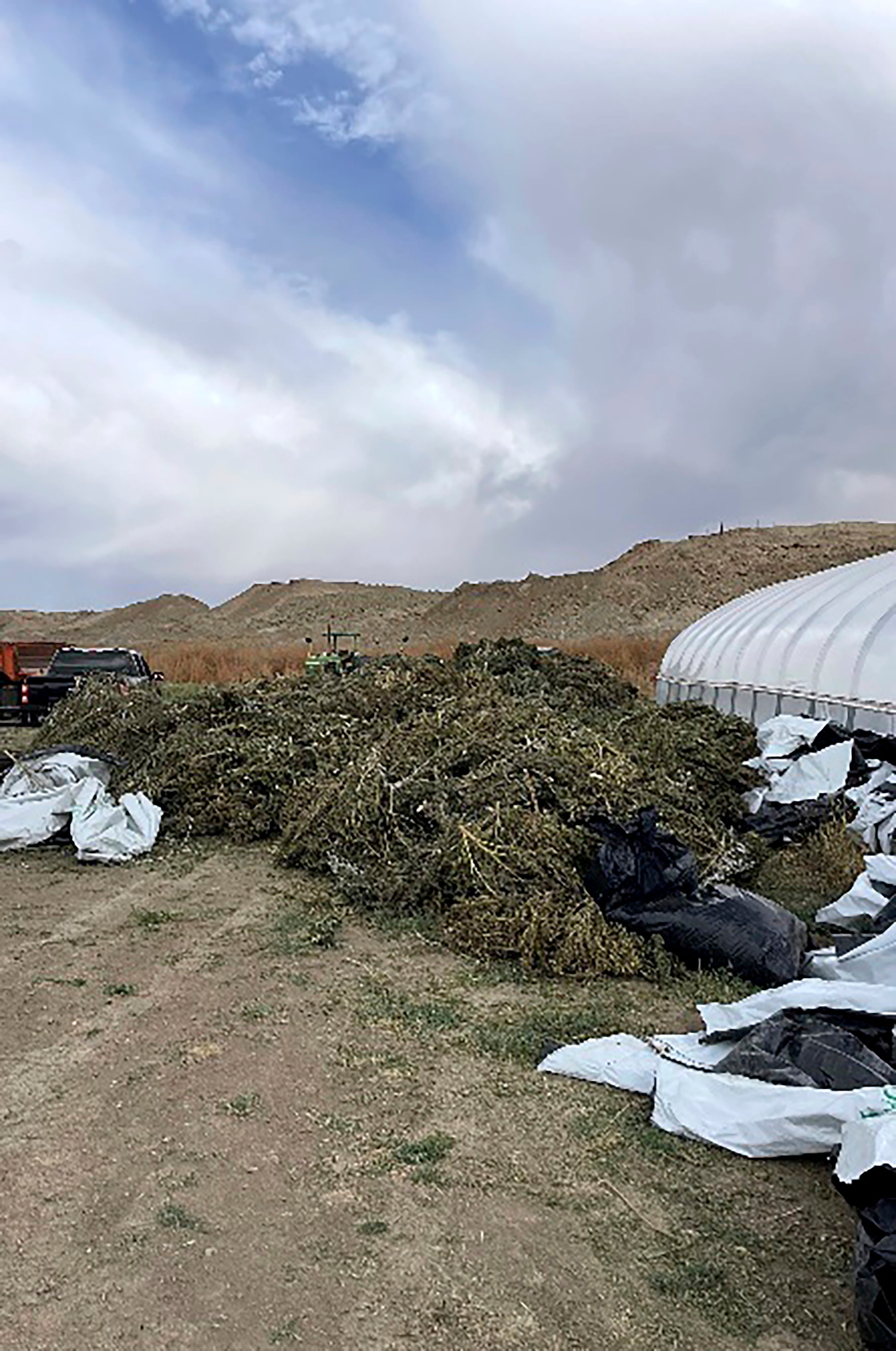 Marijuana Destroyed New Mexico