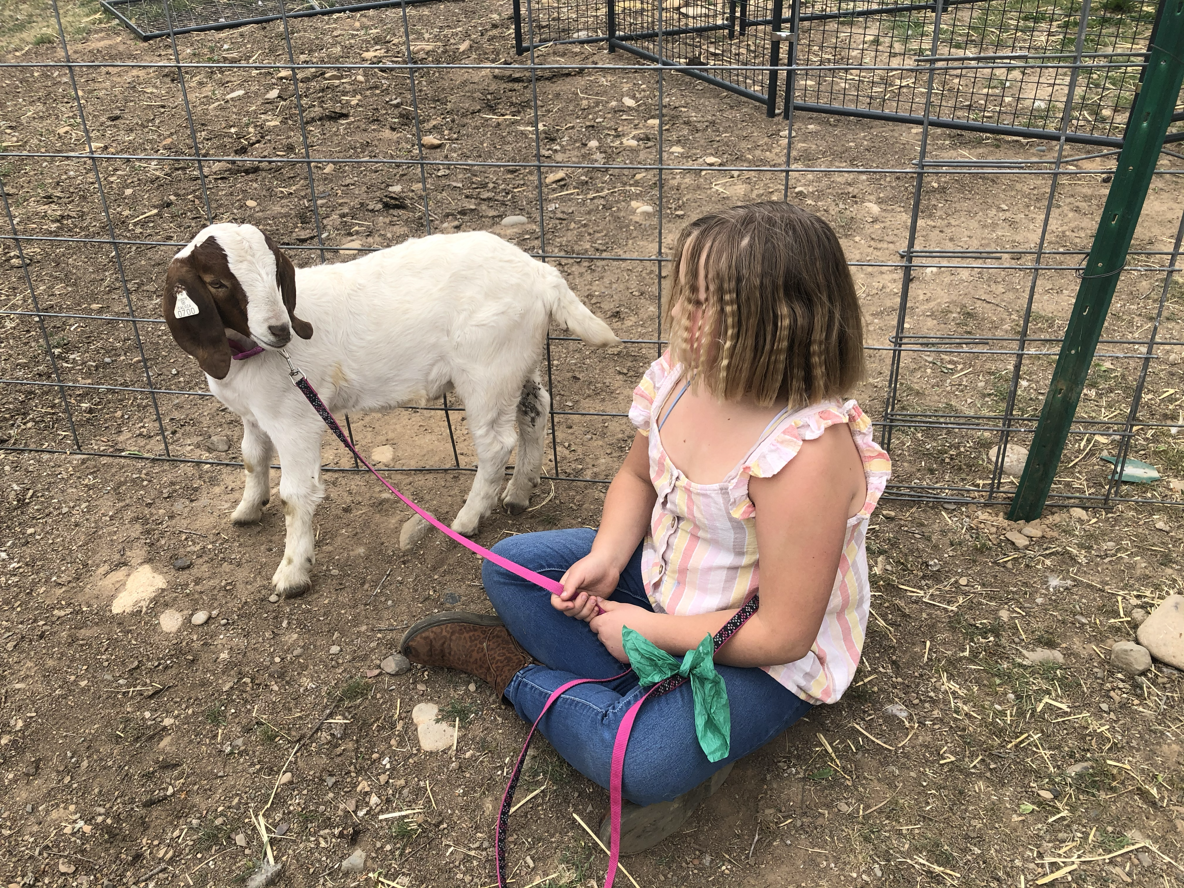 A California family has reached a $300,000 settlement with law enforcement officials who took a girl’s goat and handed it over for slaughter