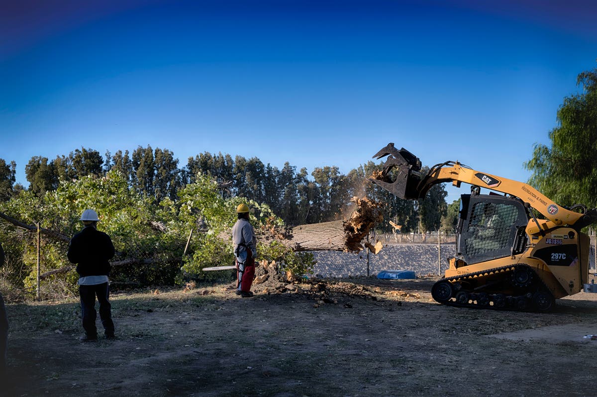 Powerful winds and low humidity raise wildfire risk across California