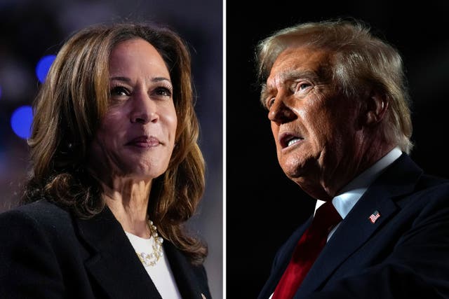 <p>Kamala Harris and Donald Trump will be keenly watching the results from key swing states (AP)</p>