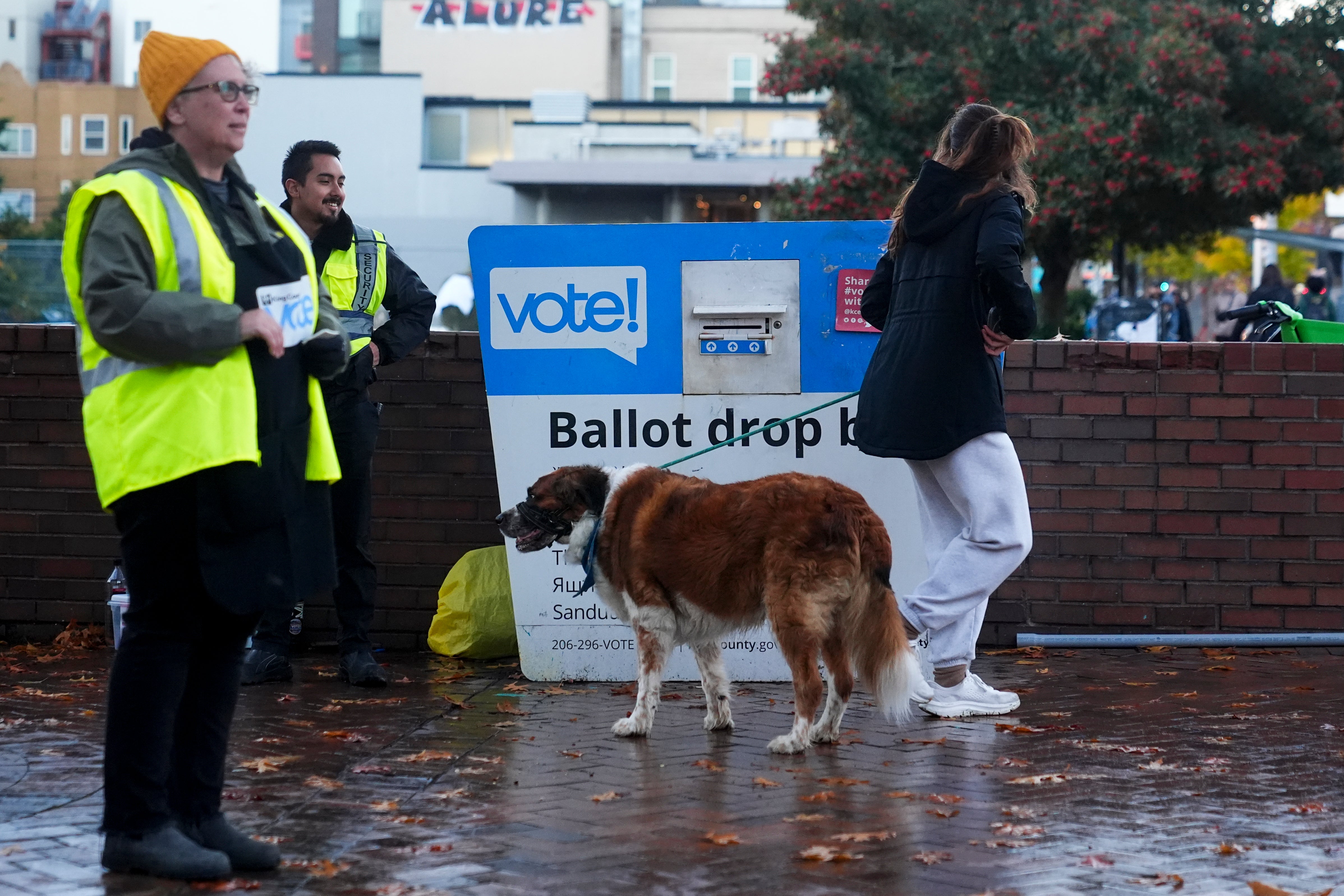 Election 2024 America Votes Seattle