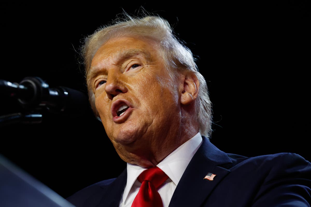 Donald Trump Wins 2024 Presidential Election