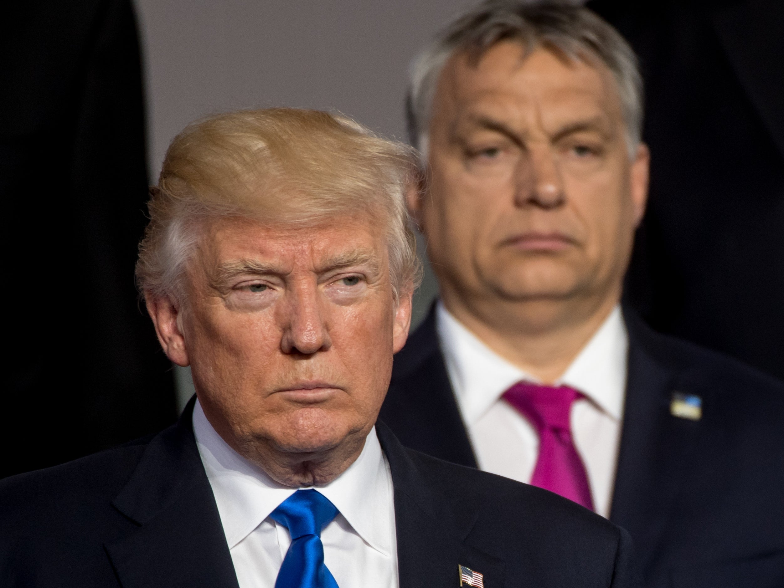 Trump and Orban pictured at a Nato summit in Brussels in 2017