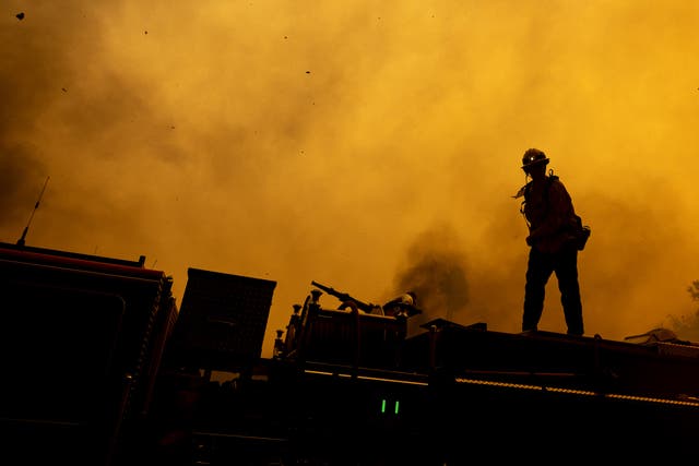 <p>A firefighter stands on top of a fire truck, directing operations as the Mountain Fire scorches acres in Camarillo Heights, Camarillo, California, on November 6, 2024</p>