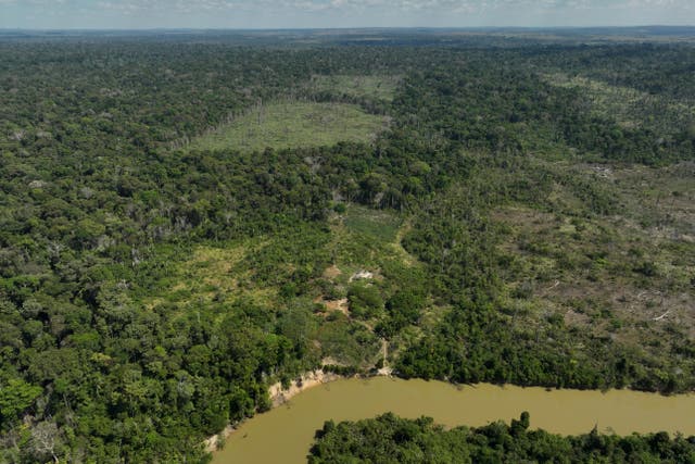 BRASIL-DEFORESTACIÓN