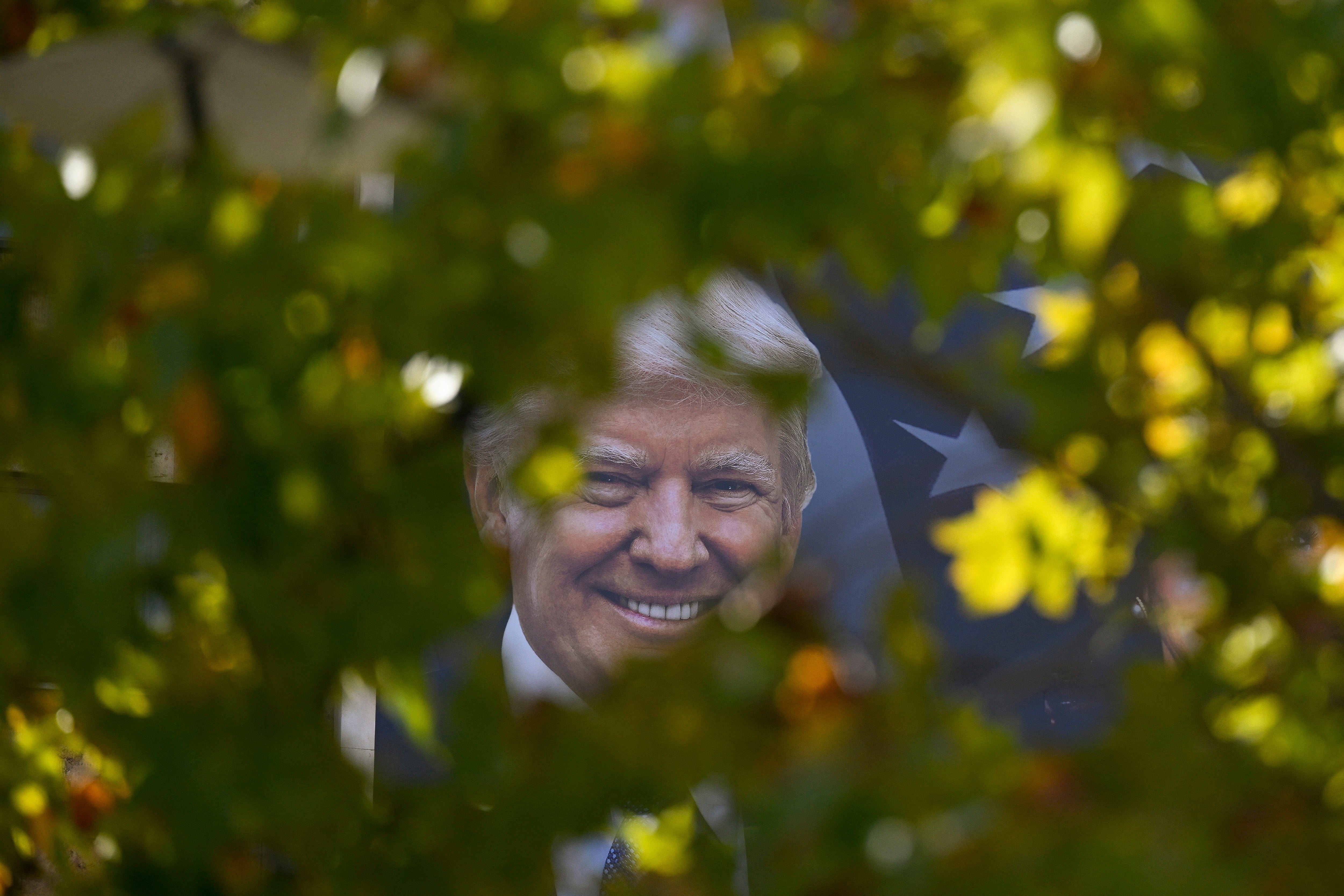 Donald Trump’s banner peaks through trees in Kyiv