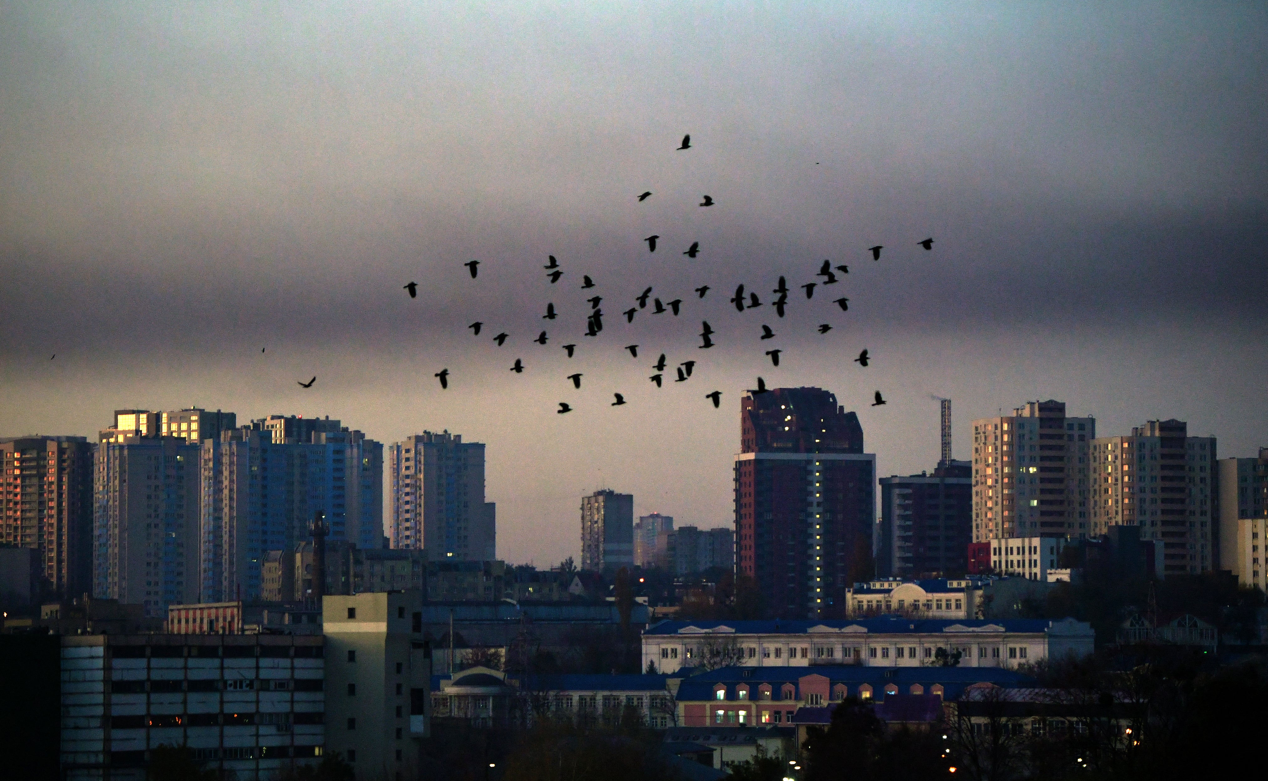 This photograph shows birds flying away as smoke rises in the background after a Russian drone strike in Kyiv