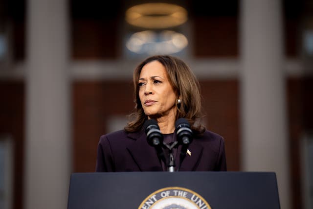 <p>Democratic presidential nominee, U.S. Vice President Kamala Harris pauses while speaking on stage as she concedes the election, at Howard University on November 06, 2024 in Washington, DC</p>