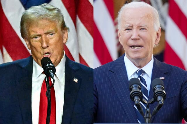 <p>Donald Trump and Joe Biden</p>