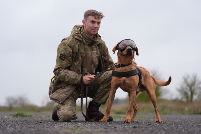 Private McLoughlin with military working dog Grainger (PA)