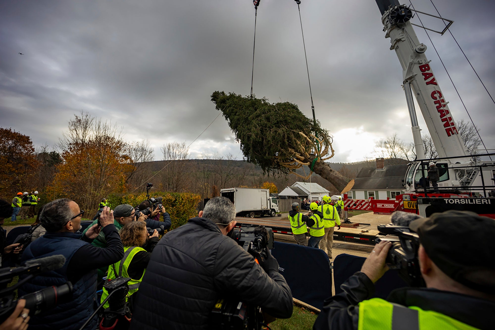 On Thursday, several dozen people, some dressed as Santa Claus, watched from behind a barrier as workers felled the tree