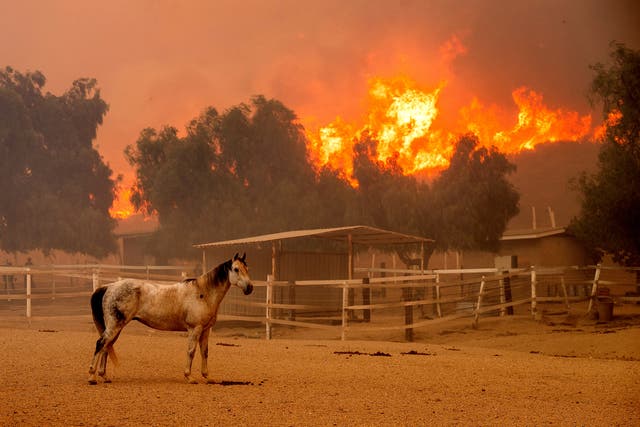 California Winds Wildfires