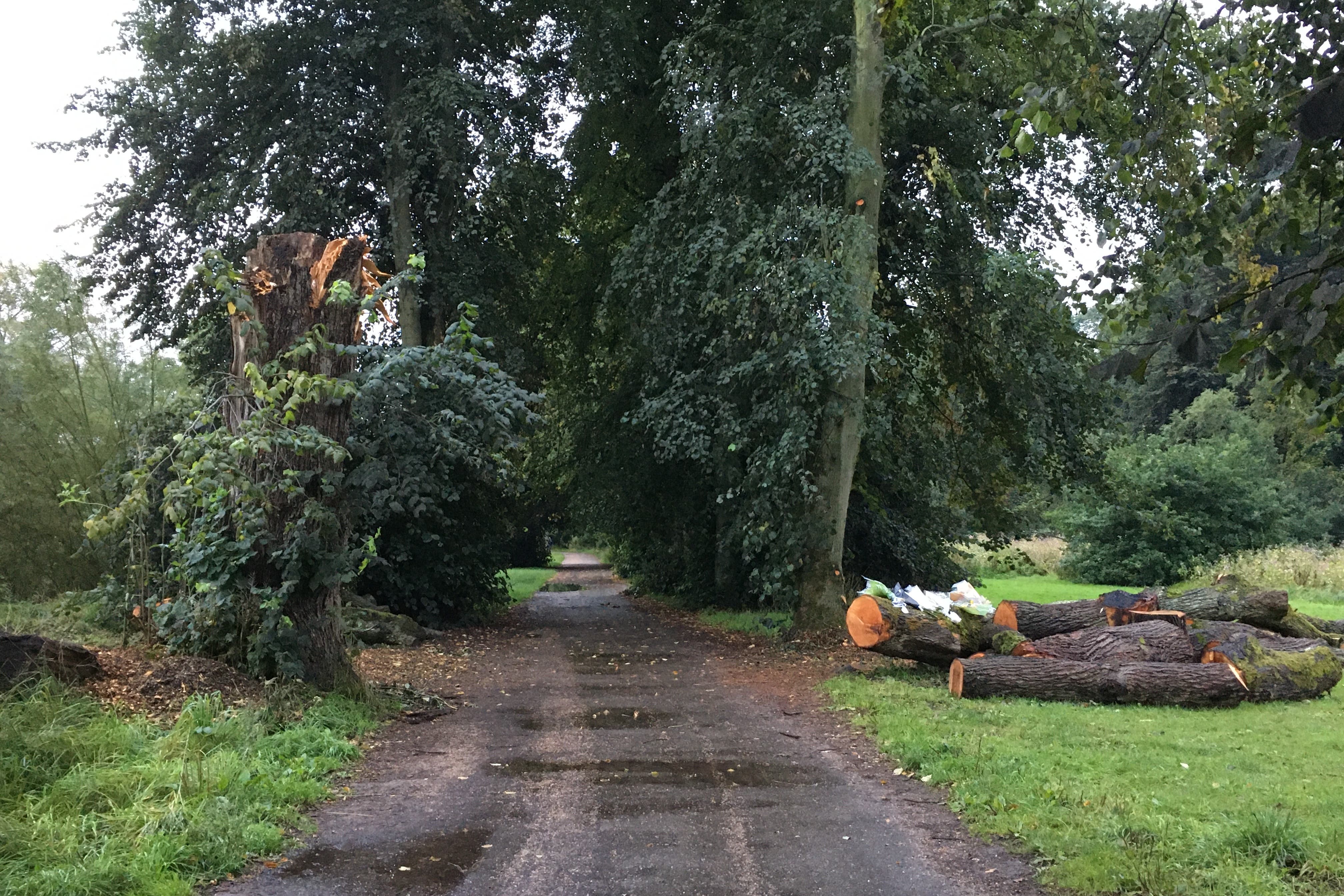 The area in The Carrs, a woodland area in Wilmslow, Cheshire where Chris Hall was hit by a limb of a tree (HSE/PA)