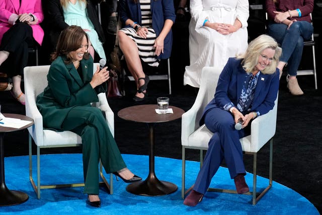 <p>Democratic strategists say they tried to voice concerns about Vice President Kamala Harris campaigning with Liz Cheney, but they were ignored </p>