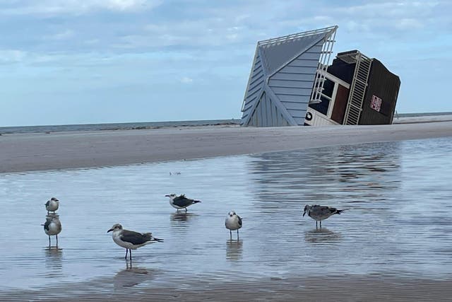 <p>A lifeguard hut rests on its side after Hurricane Milton, October 11, at Clearwater Beach, Florida. Experts say hurricanes this year washed out many of the turtle nests along Florida’s Gulf Coast </p>