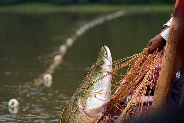 BRASIL-SEQUÍA-PESCA SOSTENIBLE