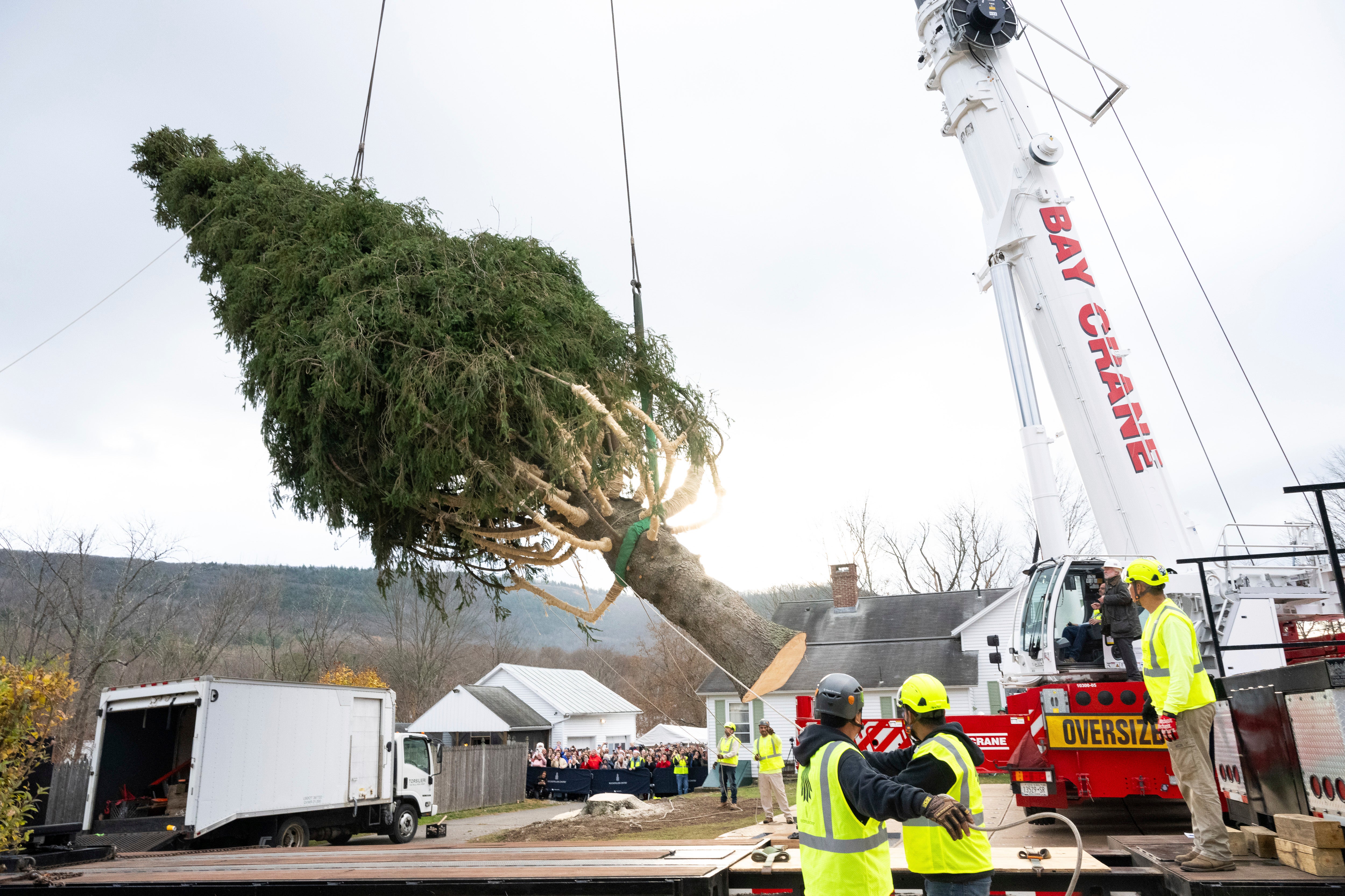 <p>ROCKERFELLER CENTER-ÁRBOL DE NAVIDAD</p>