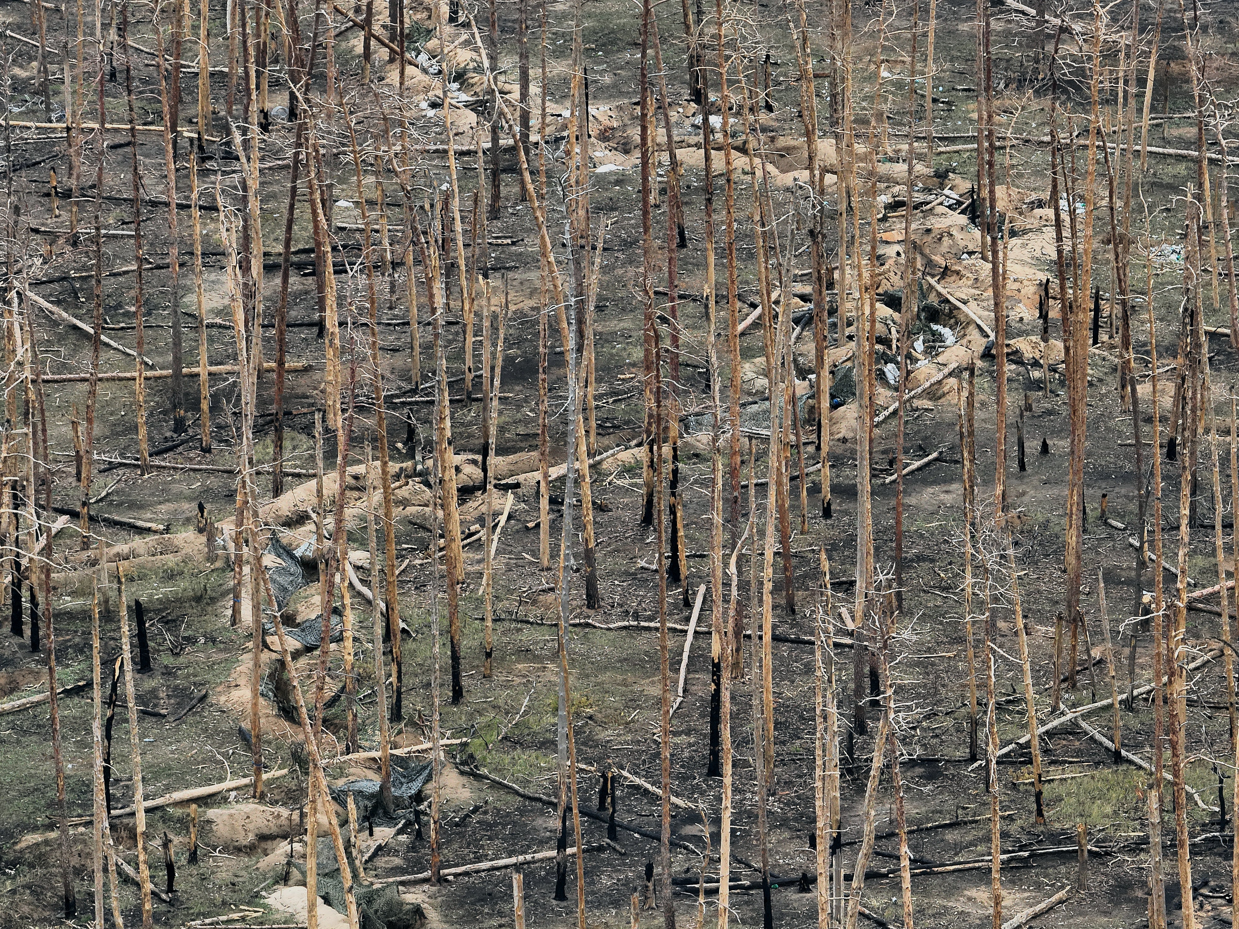 A view from a drone of a part of the forest where the hottest phase of the war is taking place in this area, showing burnt forest, fallen trees, positions and shelters of soldiers underground in Serebryansky Reserve, near Kreminna, Luhansk Oblast