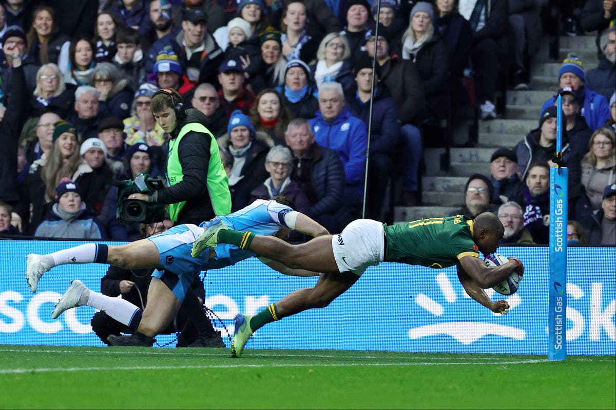 Scotland battling hard as Springboks lead at Murrayfield – live