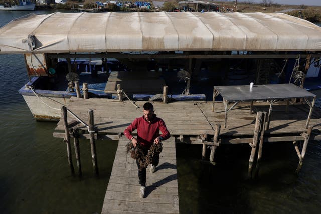 <p>Mussel farmer Anastasios Zakalkas, 35, walks with mussels from his farm at the Thermaic Gulf, near Thessaloniki, Greece</p>