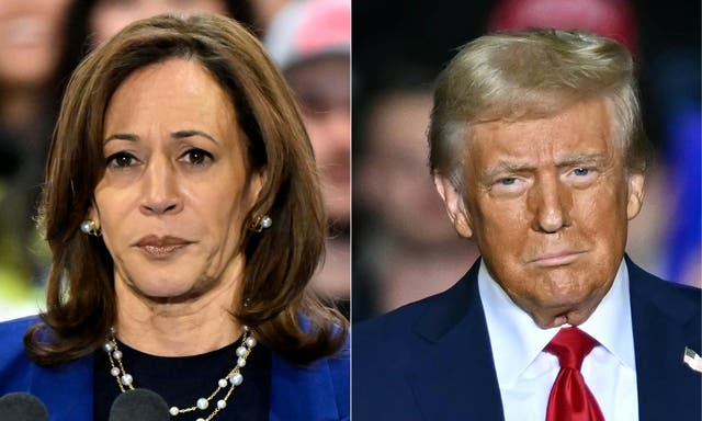 <p>Several Democrats have said one of the reasons for Harris’s election defeat was a failure to respond to Trump’s  transgender attack ads </p>