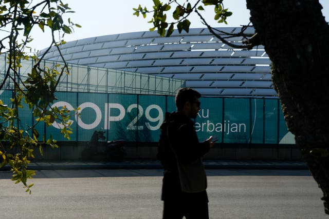 COP29 Climate Summit