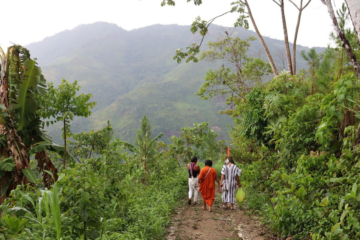 Asháninka leaders walk in the Amazonian rainforest of Peru, a region key to combating the climate crisis; a new pilot program from charity Cool Earth is trialing no-strings-attached cash payments to Indigenous communities there