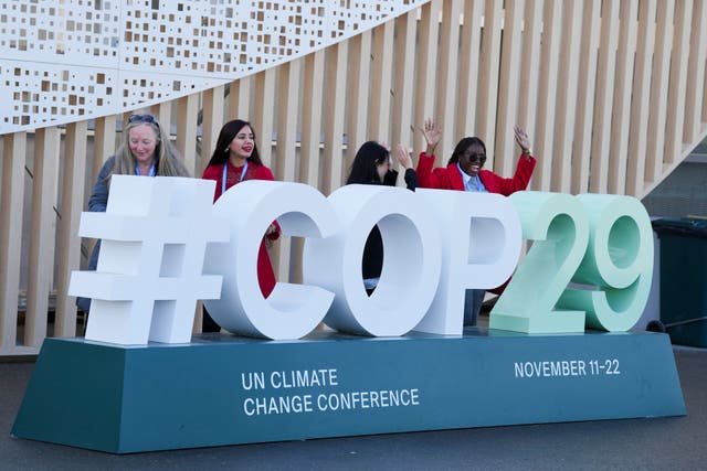 <p>The UN climate talks have begun (Peter Dejong/AP)</p>