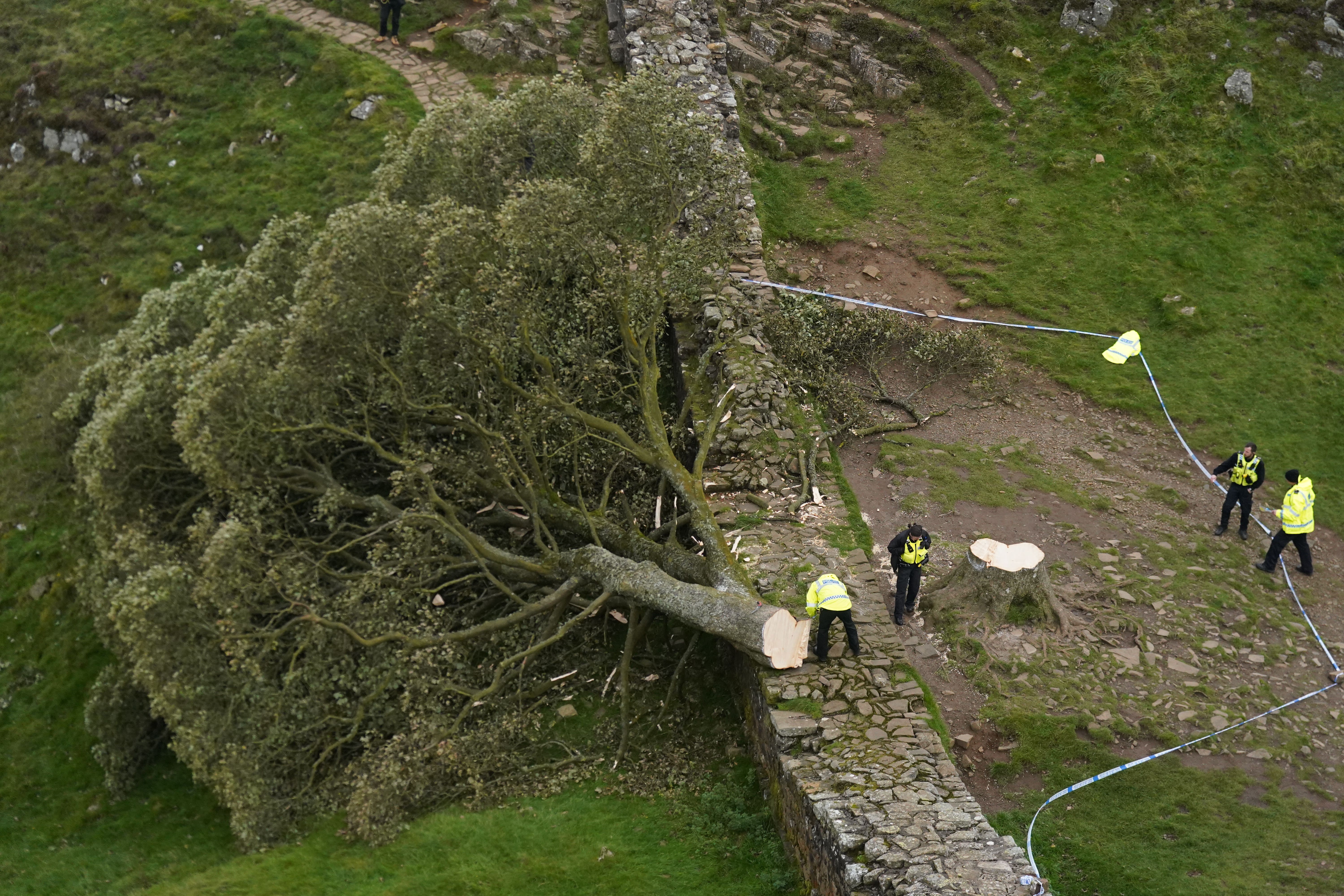 One Of The Sycamore Gap Defendants Too Ill For Court The Independent