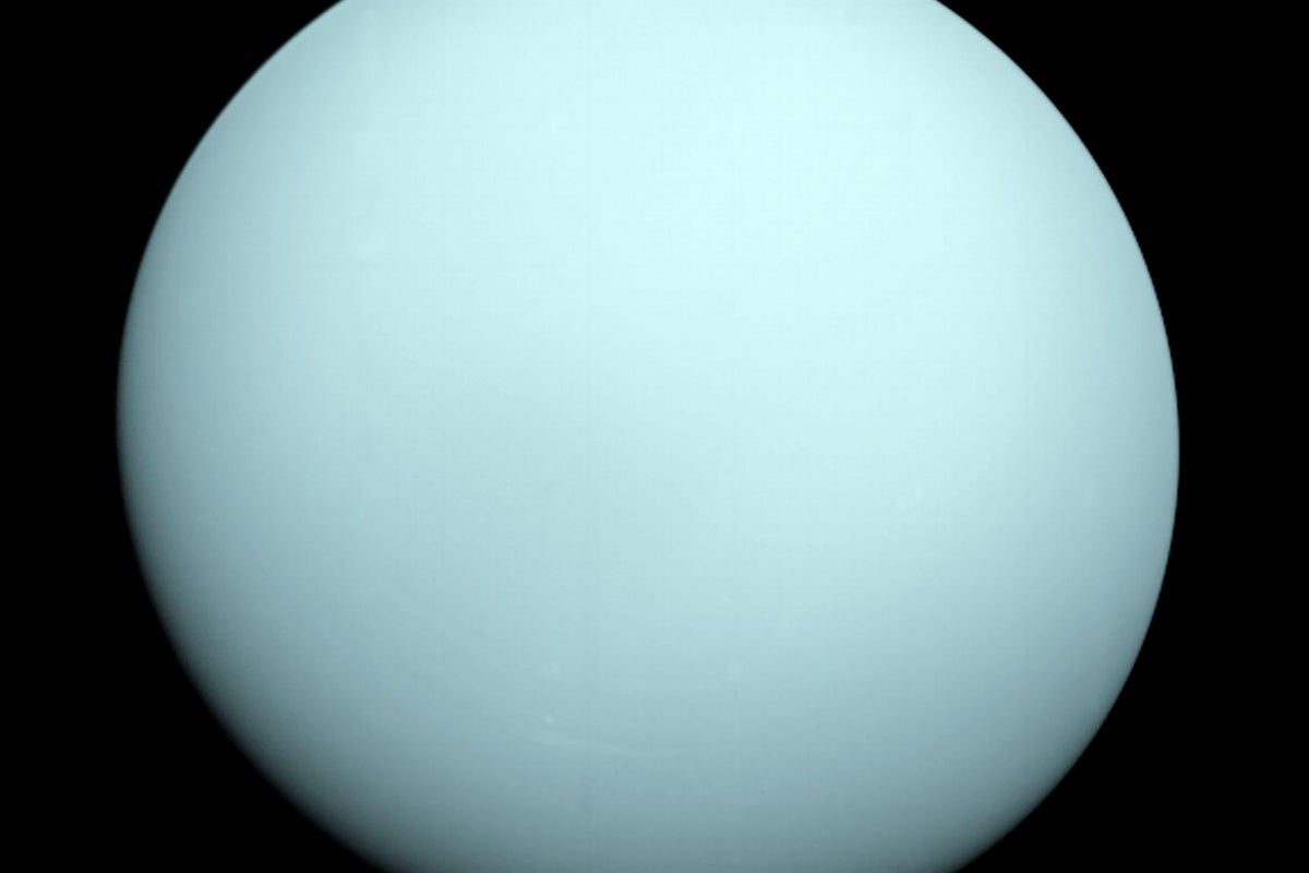 Nasa finds a whole new moon around Uranus