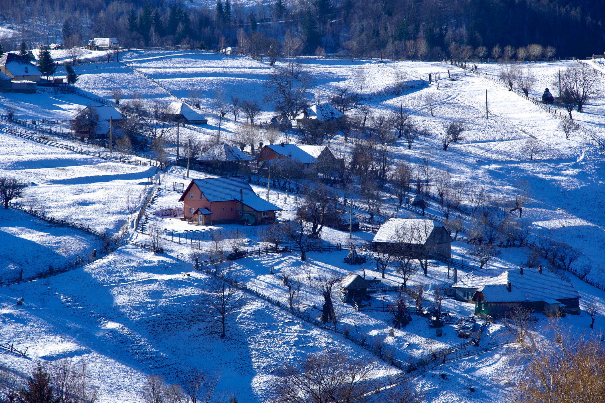 Magura’s brown bears hibernate in the winter