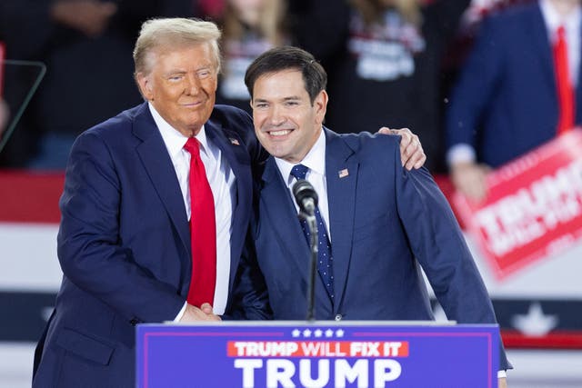 <p>Former US President and Republican presidential candidate Donald Trump greets Senator Marco Rubio, Republican of Florida, during a campaign rally at the J.S. Dorton Arena in Raleigh, North Carolina, on November 4, 2024</p>