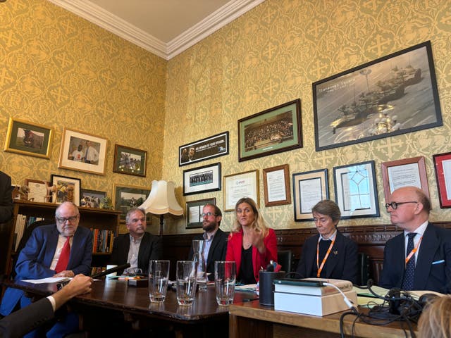 <p>Kim Leadbeater addresses a press conference in Westminster</p>