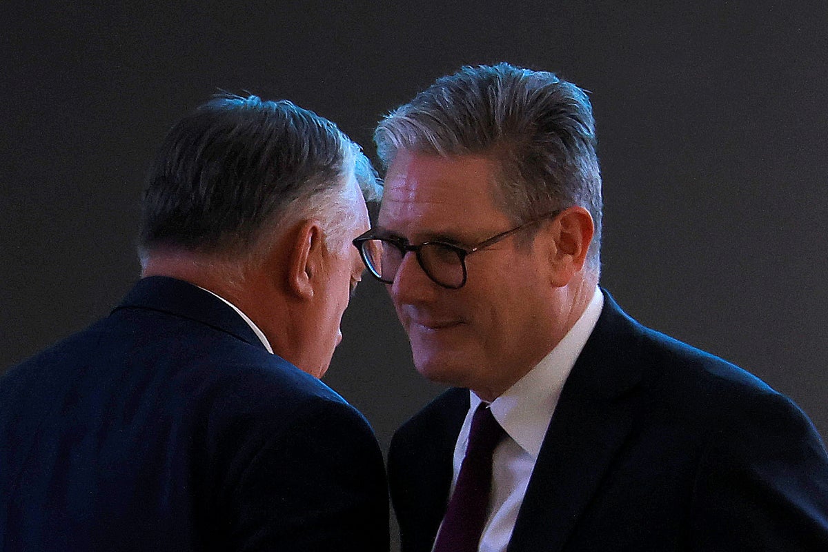 Nato ally attacks Starmer’s ‘coalition of the willing’ for Ukraine