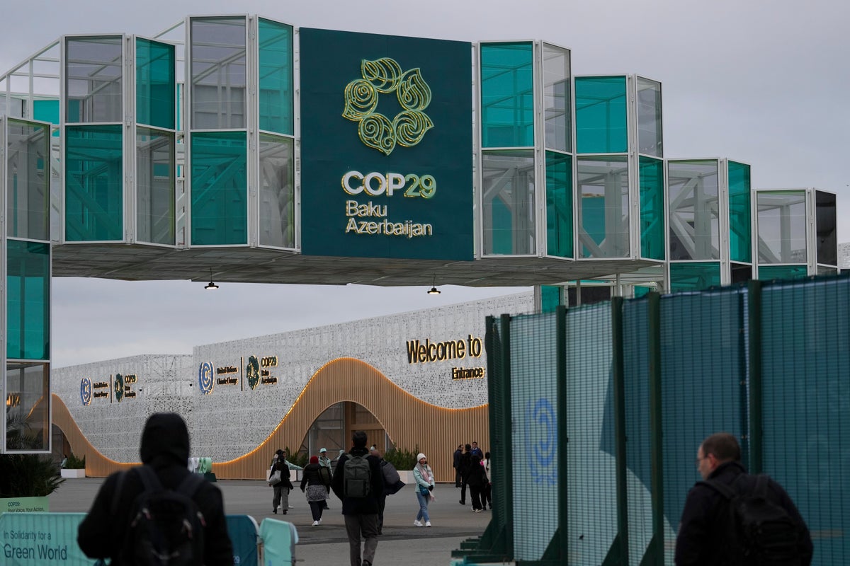 Cop29 At UN climate talks, nations big and small get chance to bear witness ...