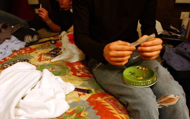 <p>Italian student prepares a cigarette with marijuana </p>