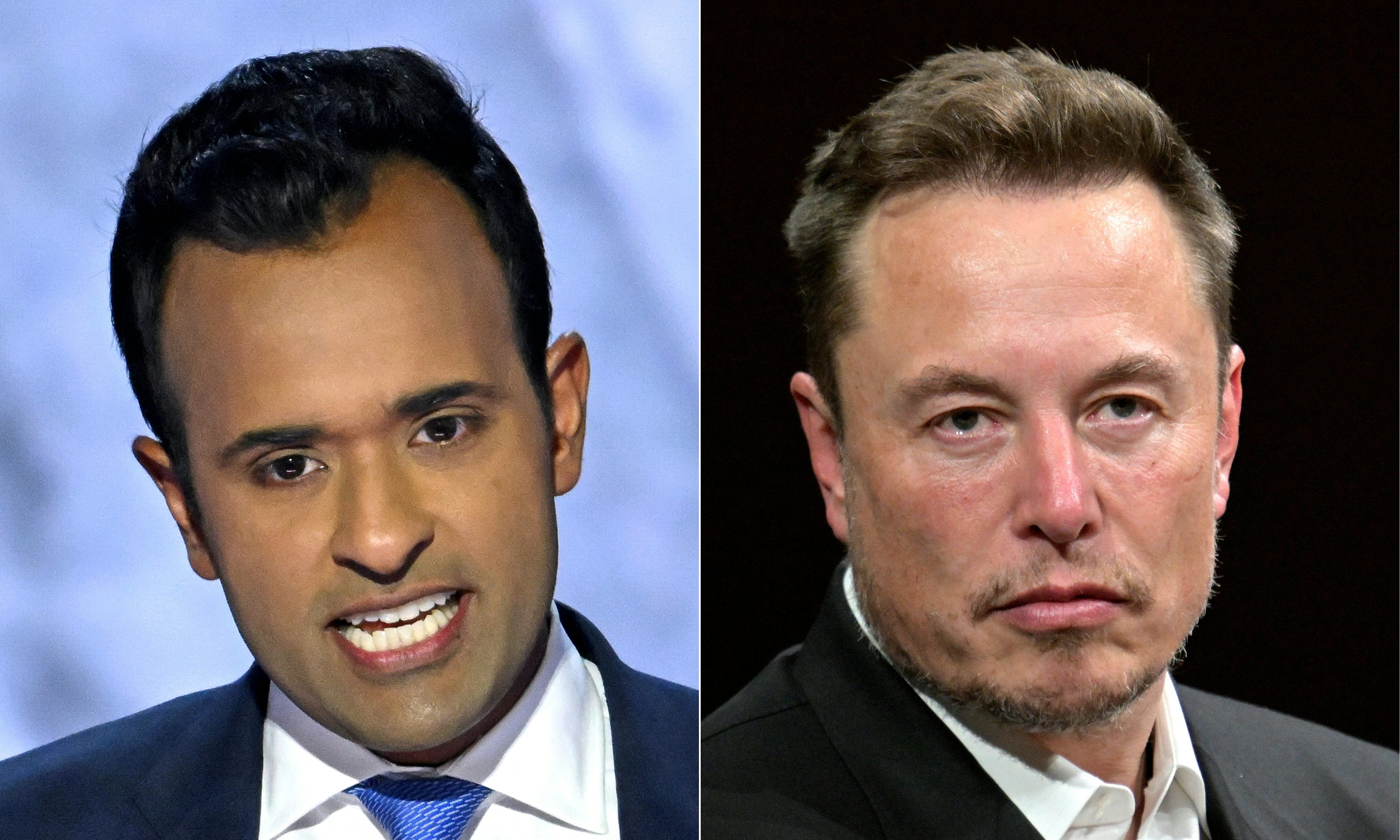 Vivek Ramaswamy and Elon Musk