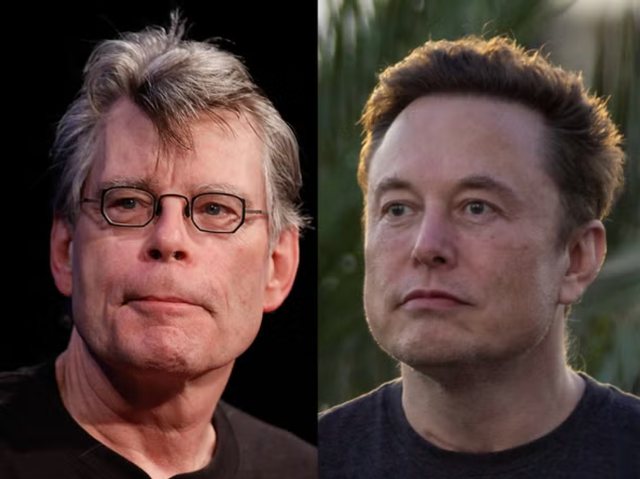 <p>Stephen King and Elon Musk have made no secret of their dislike of each other</p>