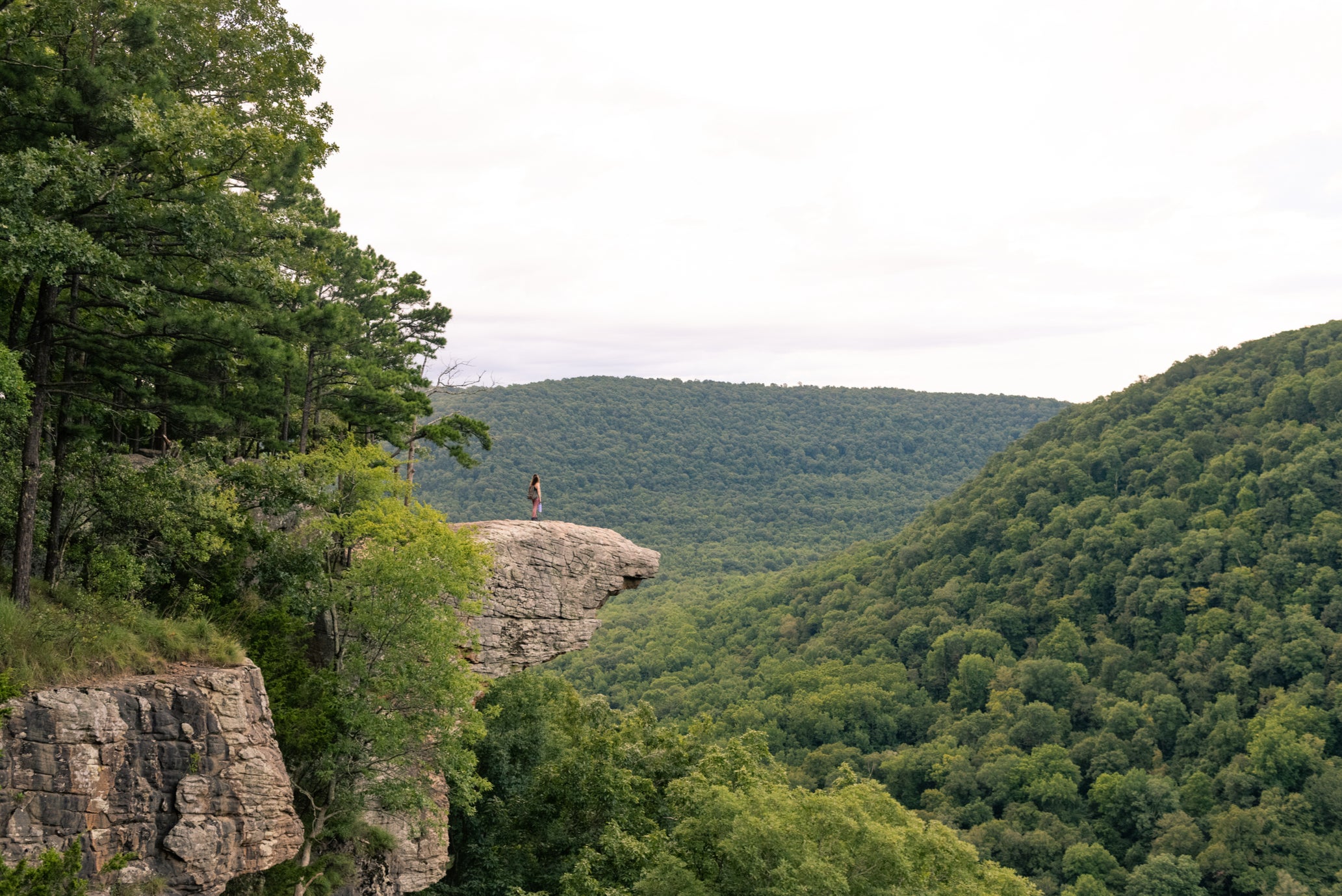 The Ozark National Forest offer spectacular views of the 1.2 million acres of lush hardwood and pine trees