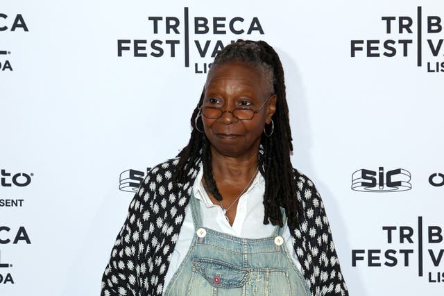 <p>Whoopi Goldberg says she’d stop hosting The View if she had more money</p>