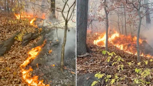 <p>Fire in Inwood Hill Park, NYC</p>