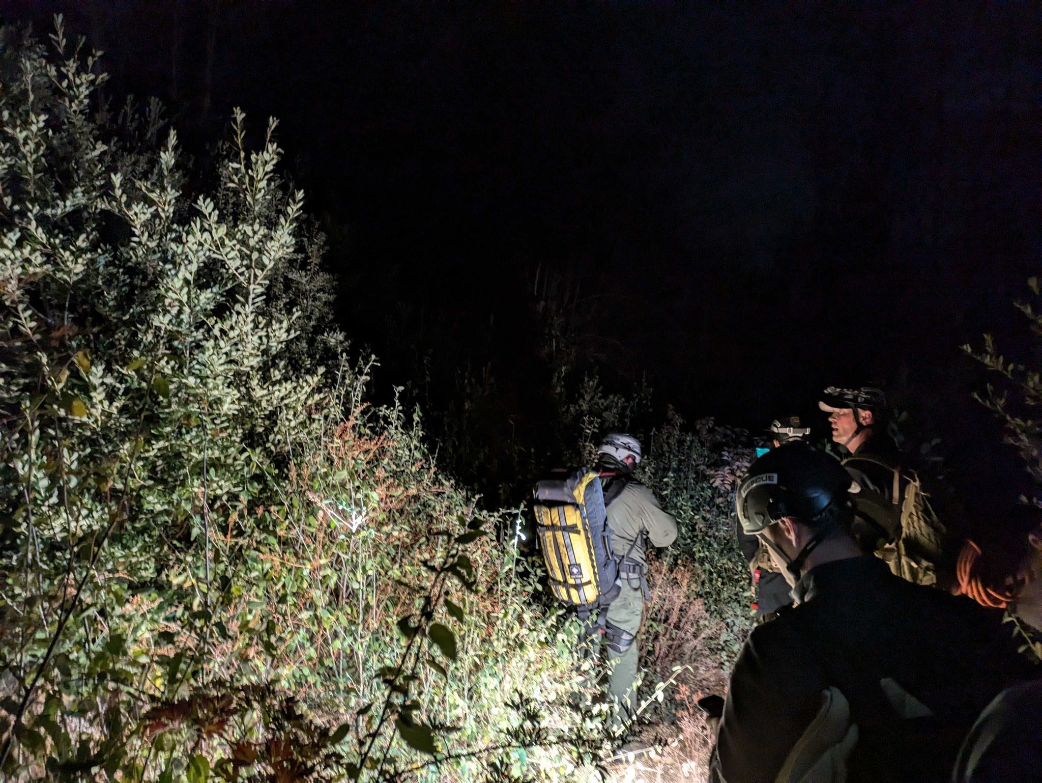 An amateur gold panner was rescued from a California forest over the weekend