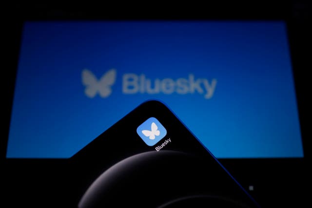 <p>Photograph shows the logo of social media platform Bluesky</p>